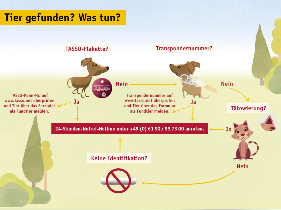 Tasso-Grafik zu gefundenen Haustieren